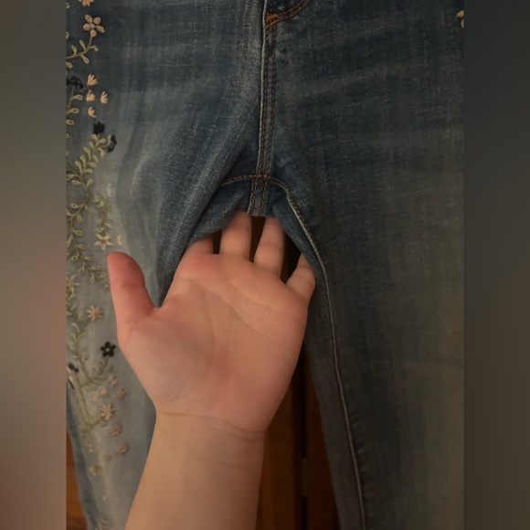 Driftwood Women’s 28 The Kelly Cotton Blend Floral Embroidered Classic Fit Jeans - Picture 7 of 16